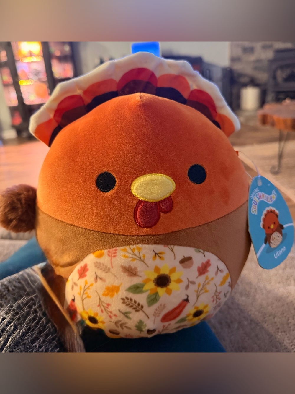 Turkey Squishmallow - NWT and Super Cute!